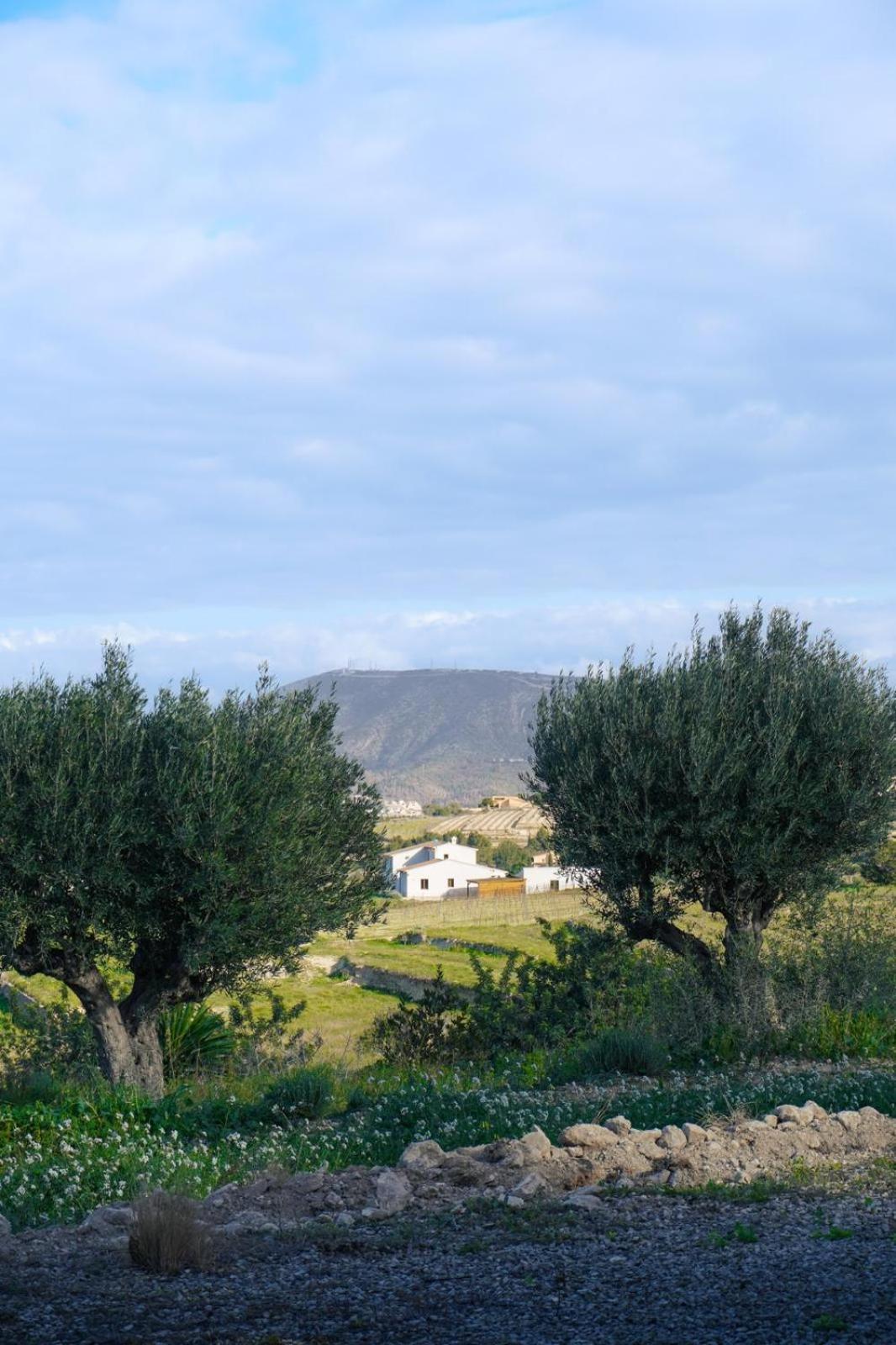 Hotel Finca Olivar Benissa Extérieur photo