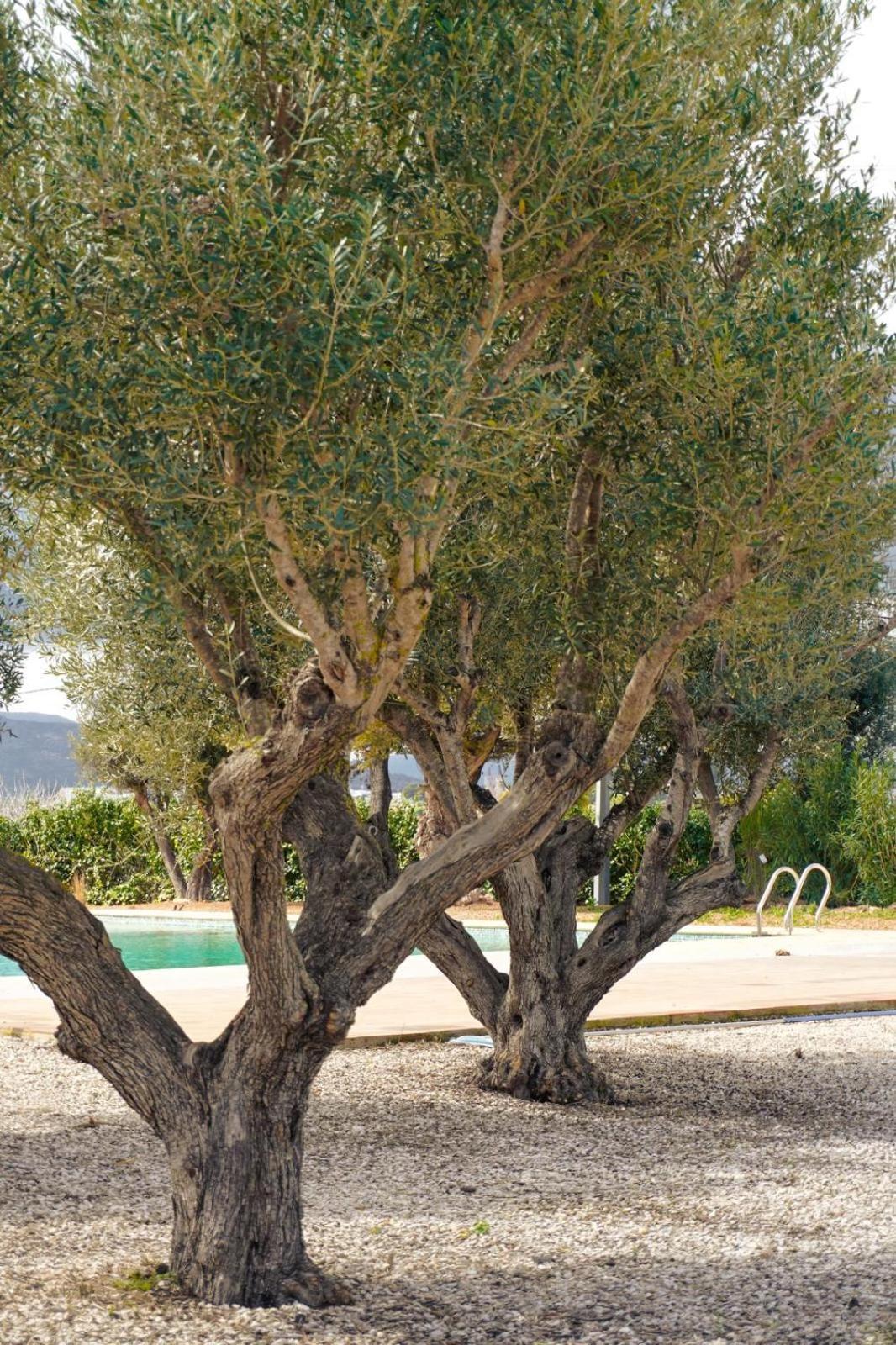 Hotel Finca Olivar Benissa Extérieur photo