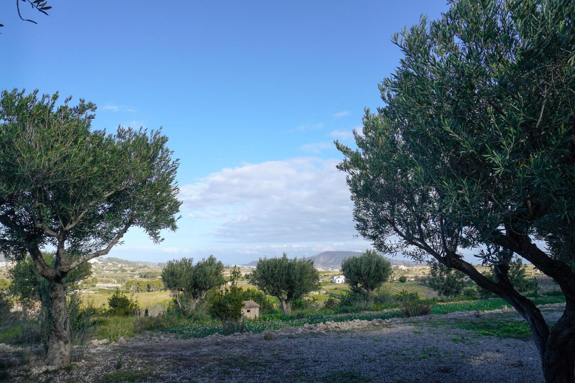 Hotel Finca Olivar Benissa Extérieur photo