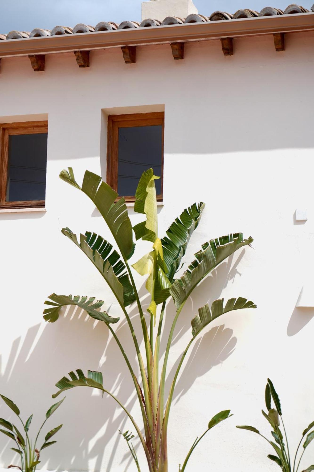 Hotel Finca Olivar Benissa Extérieur photo